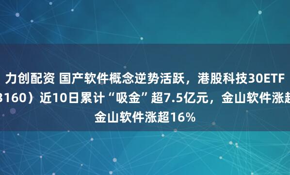 力创配资 国产软件概念逆势活跃,港股科技30ETF(513160)近10日累计“吸金”超7.5亿元,金山软件涨超16%